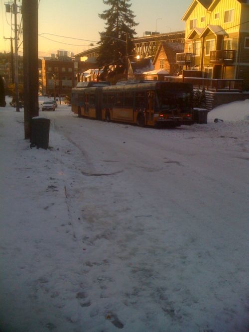 seattle-snow-11-23-2010.jpg